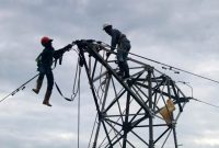 Petugas PLN saat melakukan pemeliharaan jaringan listrik.