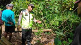 Petugas Polres Kebumen saat melakukan olah TKP kejadian orang tewas tertimpa pohon kelengkeng.