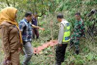 Petugas kepolisian melakukan olah TKP petani tewas terjatuh dari pohon jenitri di Kebumen tumbang saat memanen.