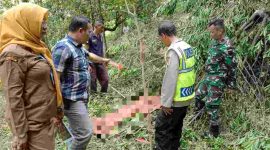 Petugas kepolisian melakukan olah TKP petani tewas terjatuh dari pohon jenitri di Kebumen tumbang saat memanen.