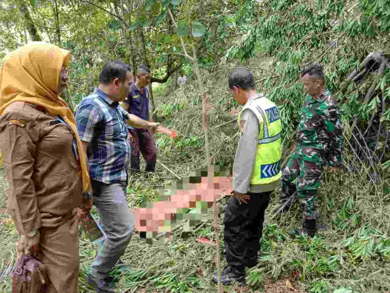 Petugas kepolisian melakukan olah TKP petani tewas terjatuh dari pohon jenitri di Kebumen tumbang saat memanen.